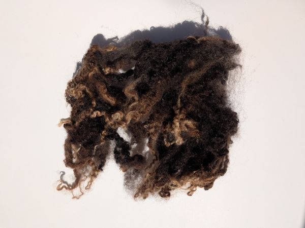 Blue Faced Leicester (BFL) Schaflocken naturbraun - Sonderposten